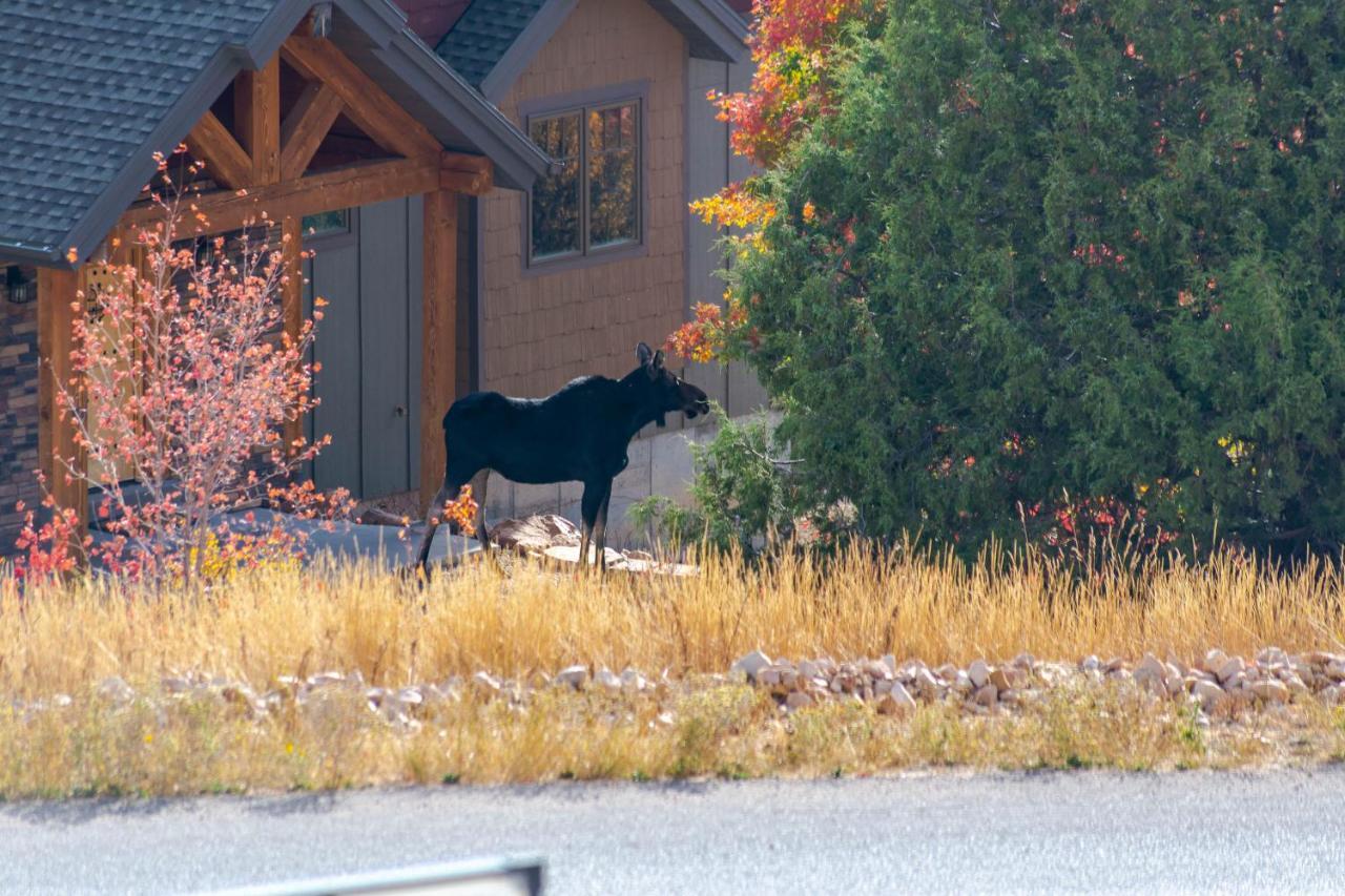 Hotel Bear Country Cabin #2 Saint Charles Exterior foto